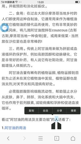 journal_insert_pic_624521423