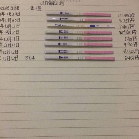 journal_insert_pic_624981305