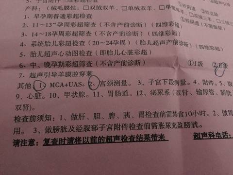 journal_insert_pic_625855081