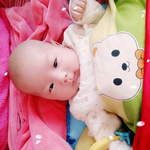 journal_insert_pic_626384529