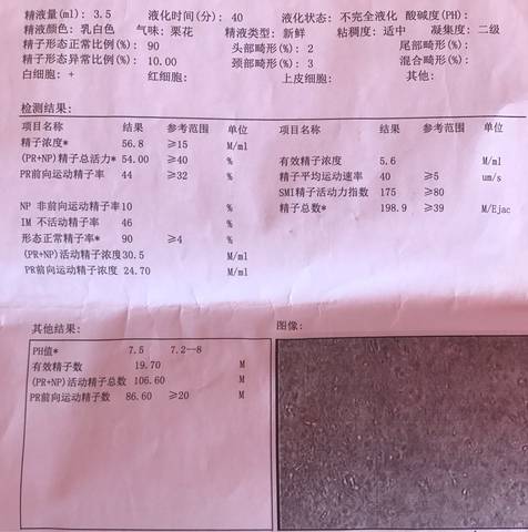 journal_insert_pic_626936876