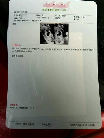 journal_insert_pic_627850845