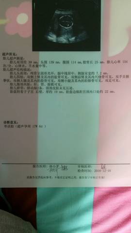 journal_insert_pic_627442881