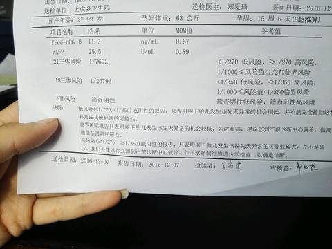 journal_insert_pic_629454477