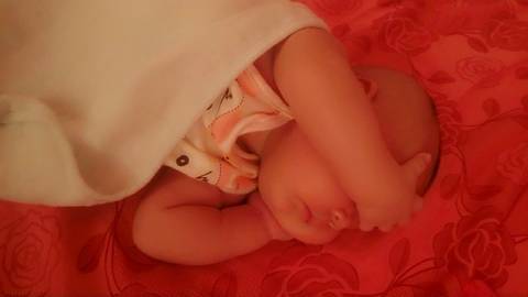 journal_insert_pic_629940298