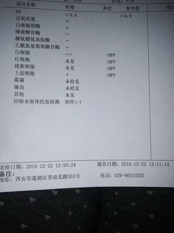 journal_insert_pic_631052830