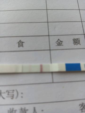 journal_insert_pic_632352242