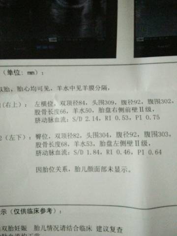 journal_insert_pic_633031122
