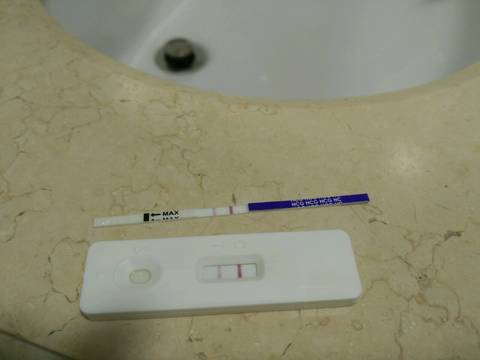 journal_insert_pic_634429163