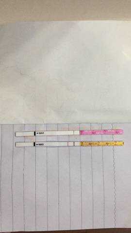 journal_insert_pic_634479735