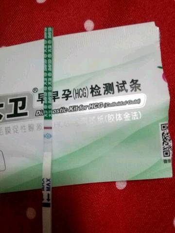 journal_insert_pic_634437649