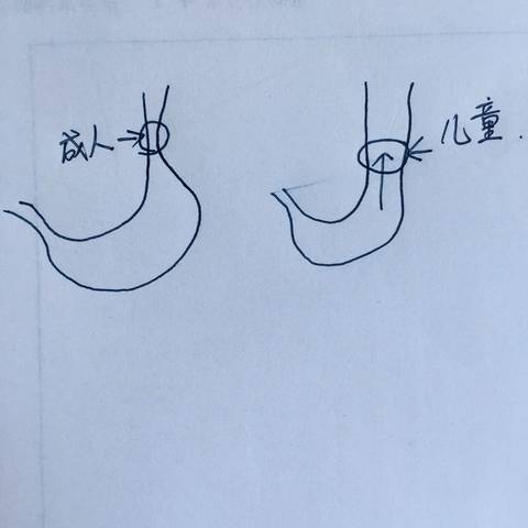 journal_insert_pic_635961910