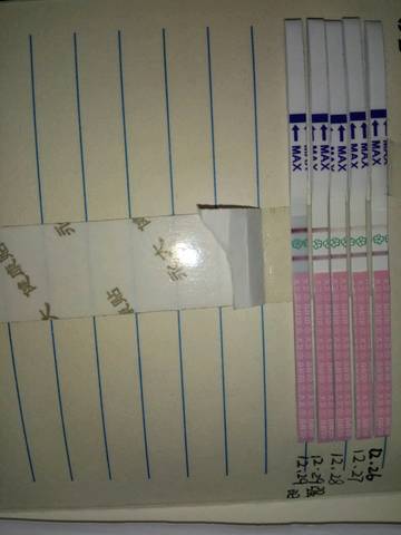 journal_insert_pic_636509772