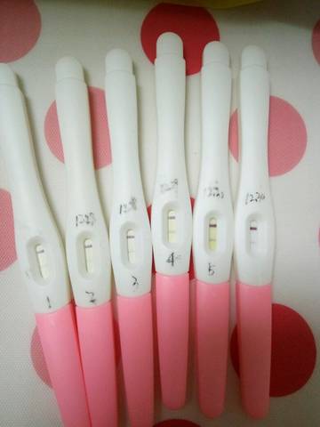 journal_insert_pic_637011181