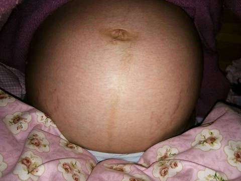 journal_insert_pic_638512473