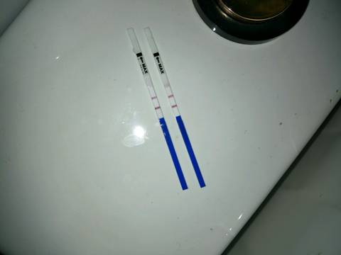 journal_insert_pic_640017960