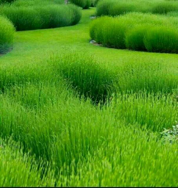 大家好_我怀孕二十六周啦,以前白带挺多的为什么这两天突然减少_宝宝