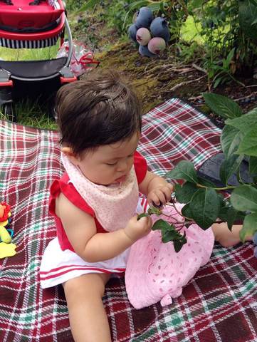 journal_insert_pic_641843137