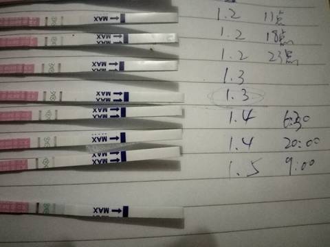 journal_insert_pic_642161388