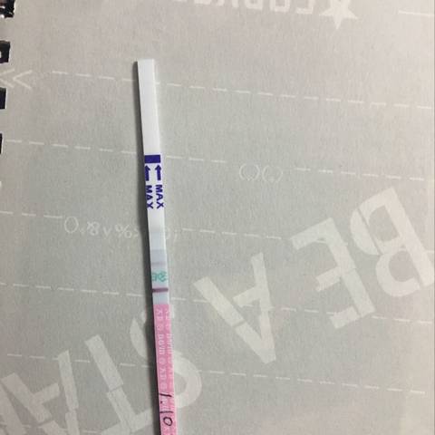 journal_insert_pic_644979122