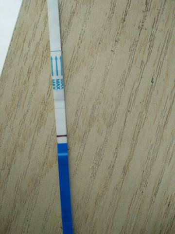 journal_insert_pic_644590284