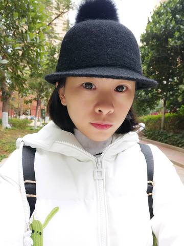 journal_insert_pic_645068408