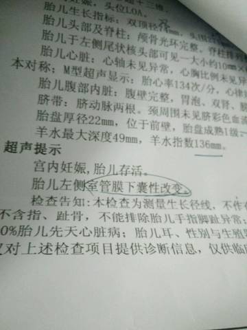 journal_insert_pic_645299936