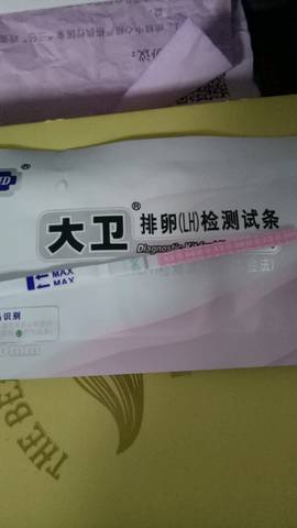 journal_insert_pic_645832604