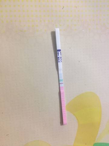 journal_insert_pic_646279578