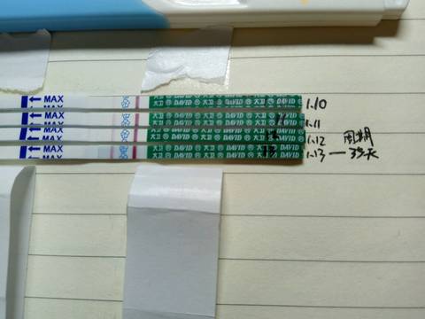 journal_insert_pic_646617166