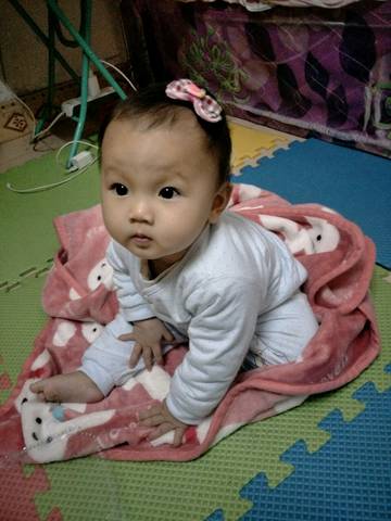 journal_insert_pic_647151829