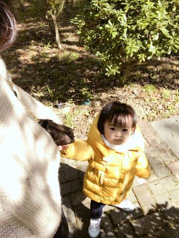 journal_insert_pic_647878220