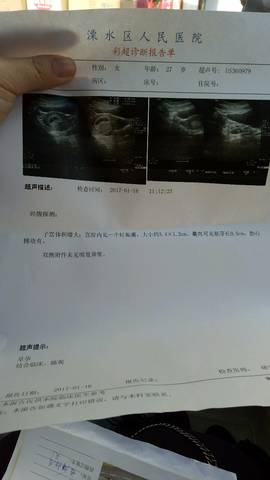 journal_insert_pic_649061829