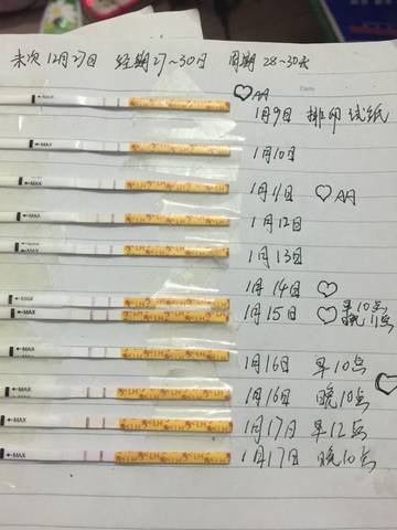 journal_insert_pic_649994108