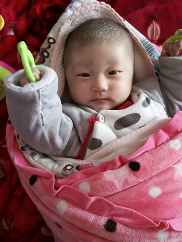 journal_insert_pic_649836083