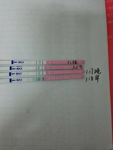 journal_insert_pic_650112299