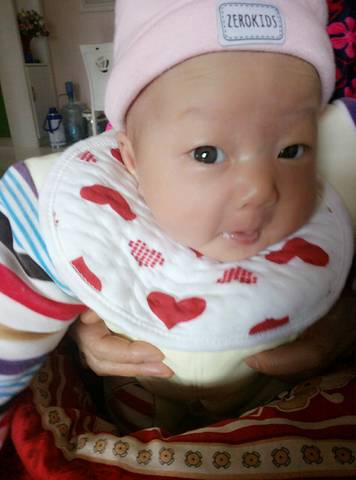 journal_insert_pic_650524577