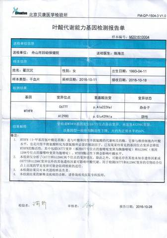journal_insert_pic_650587025