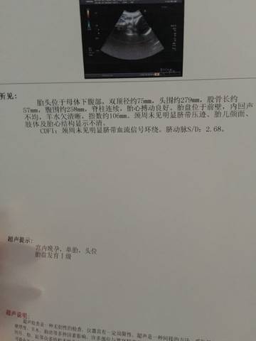 journal_insert_pic_650450079
