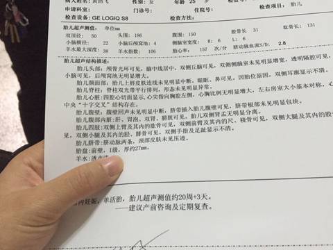 journal_insert_pic_650946244