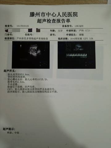 journal_insert_pic_652503567