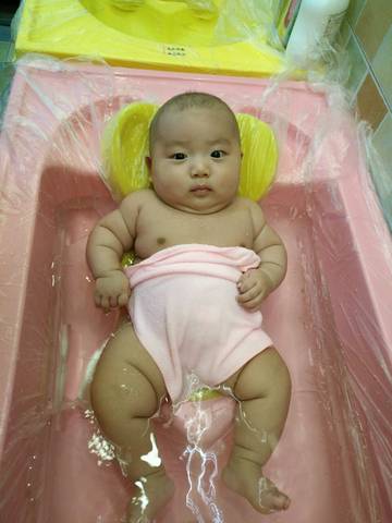 journal_insert_pic_653459539