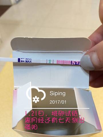 journal_insert_pic_653000139