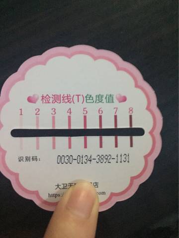 journal_insert_pic_654060749