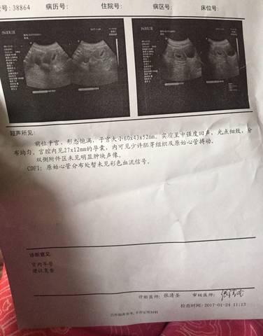 journal_insert_pic_654615502