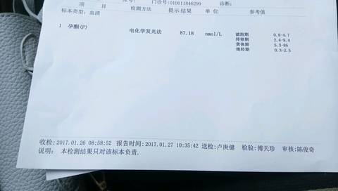 journal_insert_pic_656374155