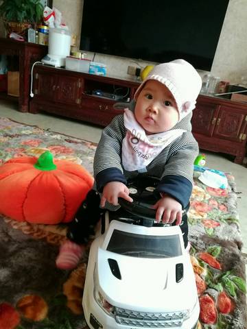 journal_insert_pic_656323661
