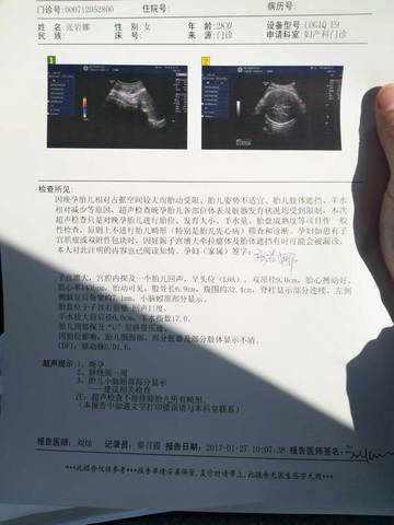 journal_insert_pic_656450003