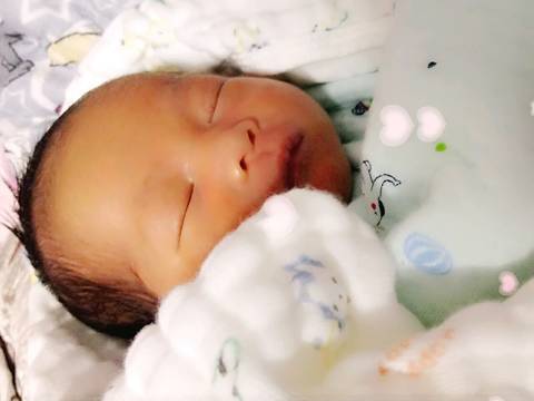 journal_insert_pic_657996892