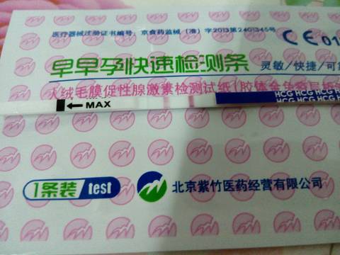 journal_insert_pic_658311766
